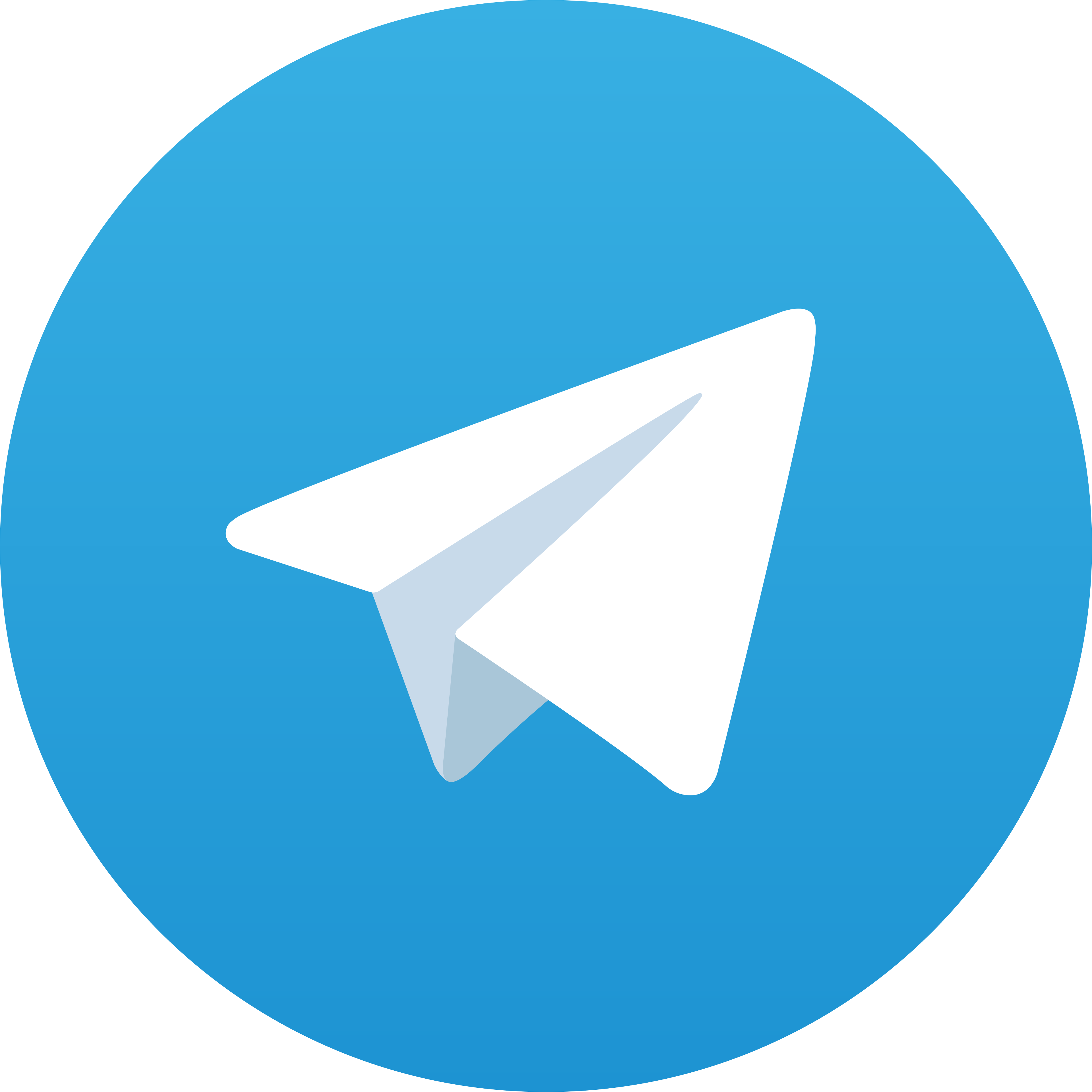 Telegram VIOR4D